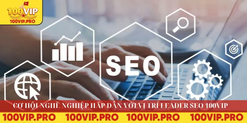 Leader SEO 100VIP